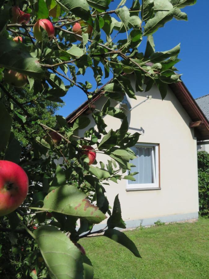 Haus Irmi Bed & Breakfast Knittelfeld Luaran gambar